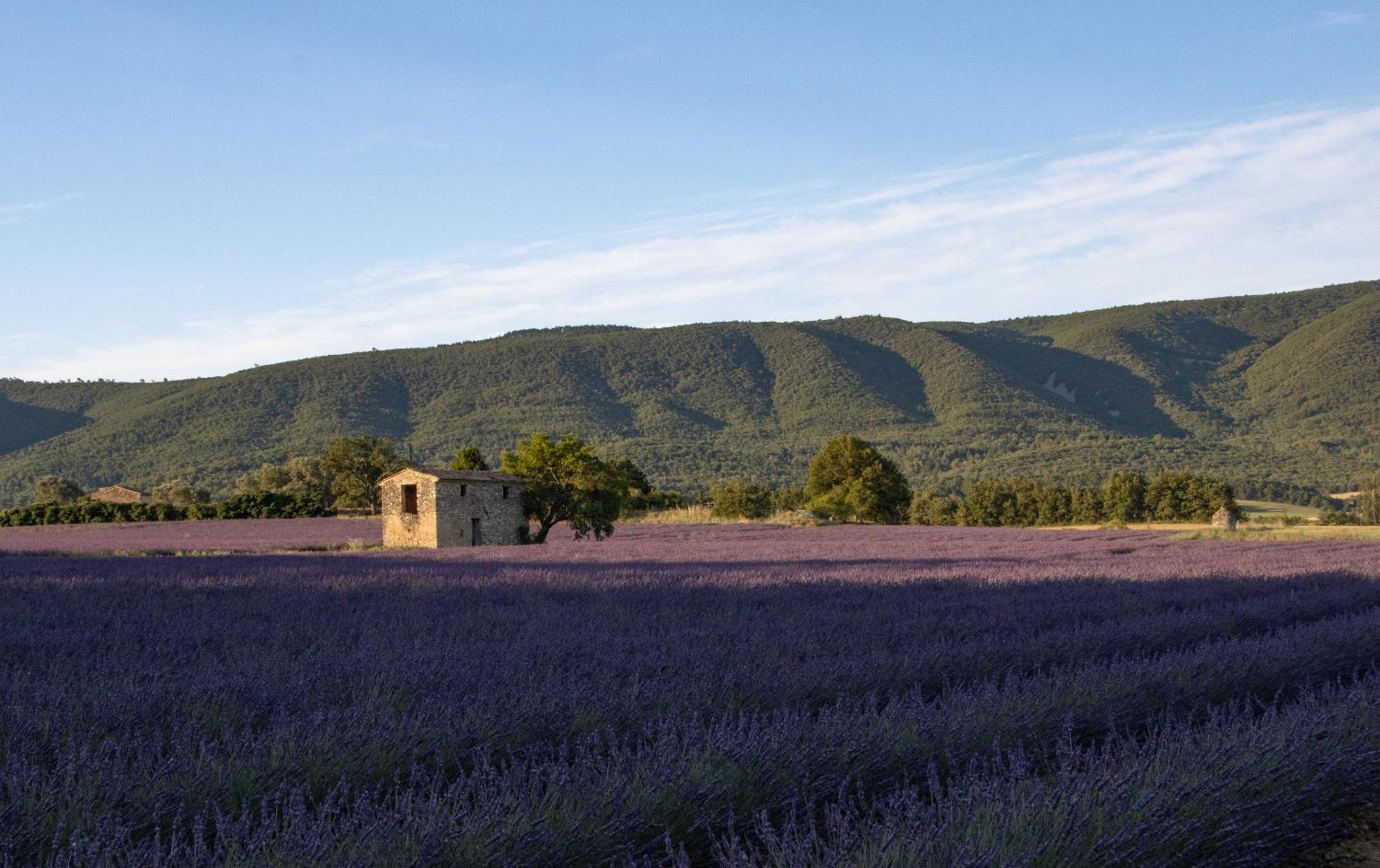 Studio Dans Le Luberon Céreste المظهر الخارجي الصورة
