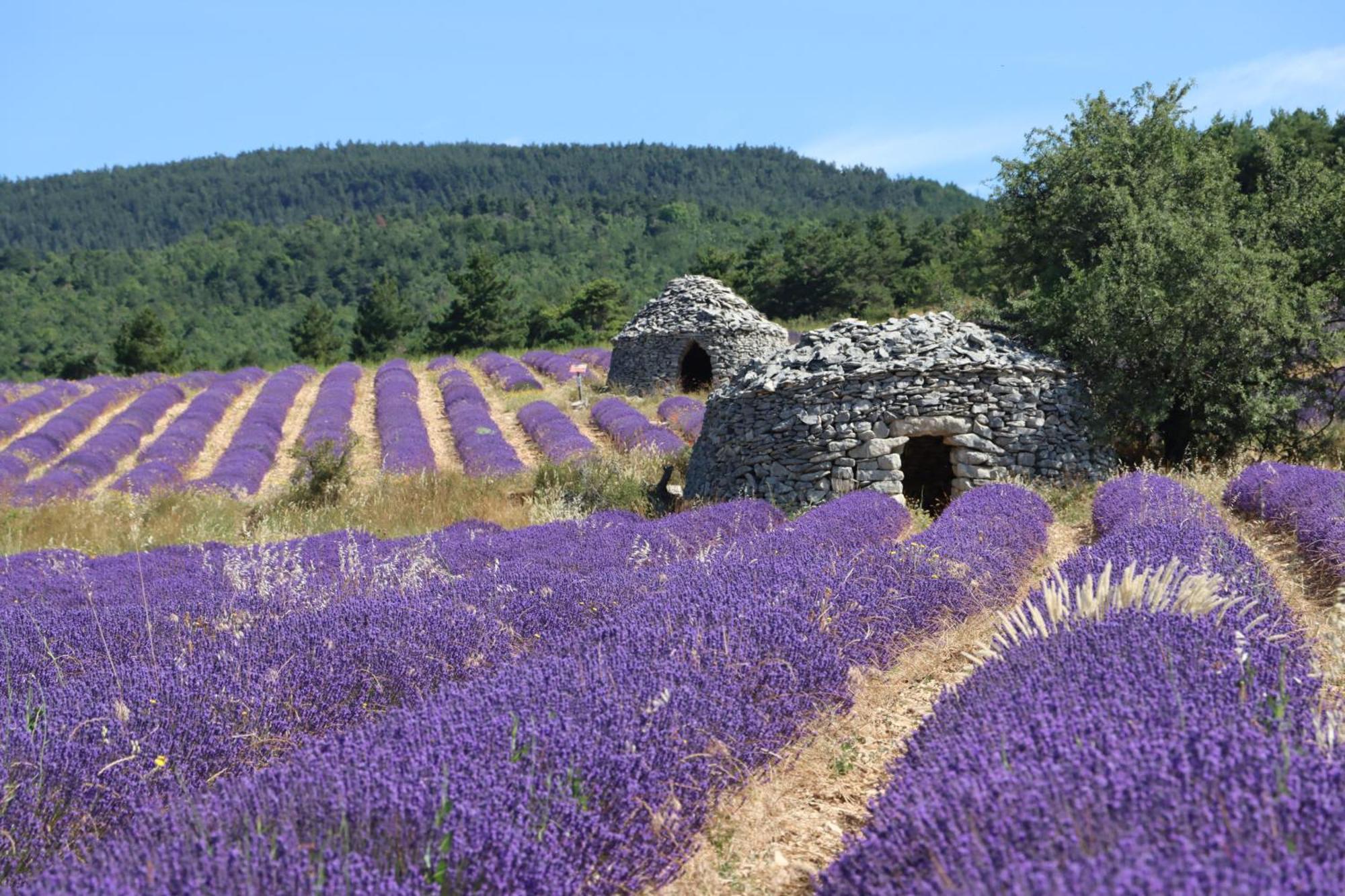 Studio Dans Le Luberon Céreste المظهر الخارجي الصورة