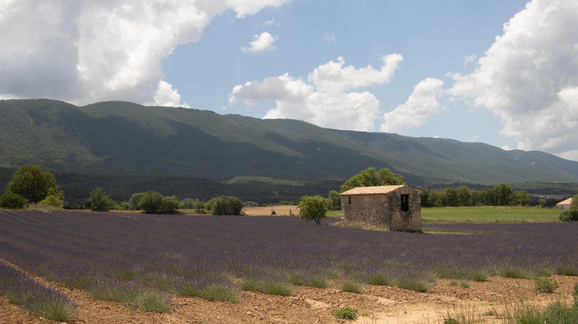 Studio Dans Le Luberon Céreste المظهر الخارجي الصورة